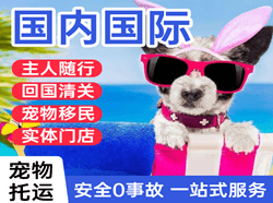 台州路桥航空快递国际宠物托运 【国